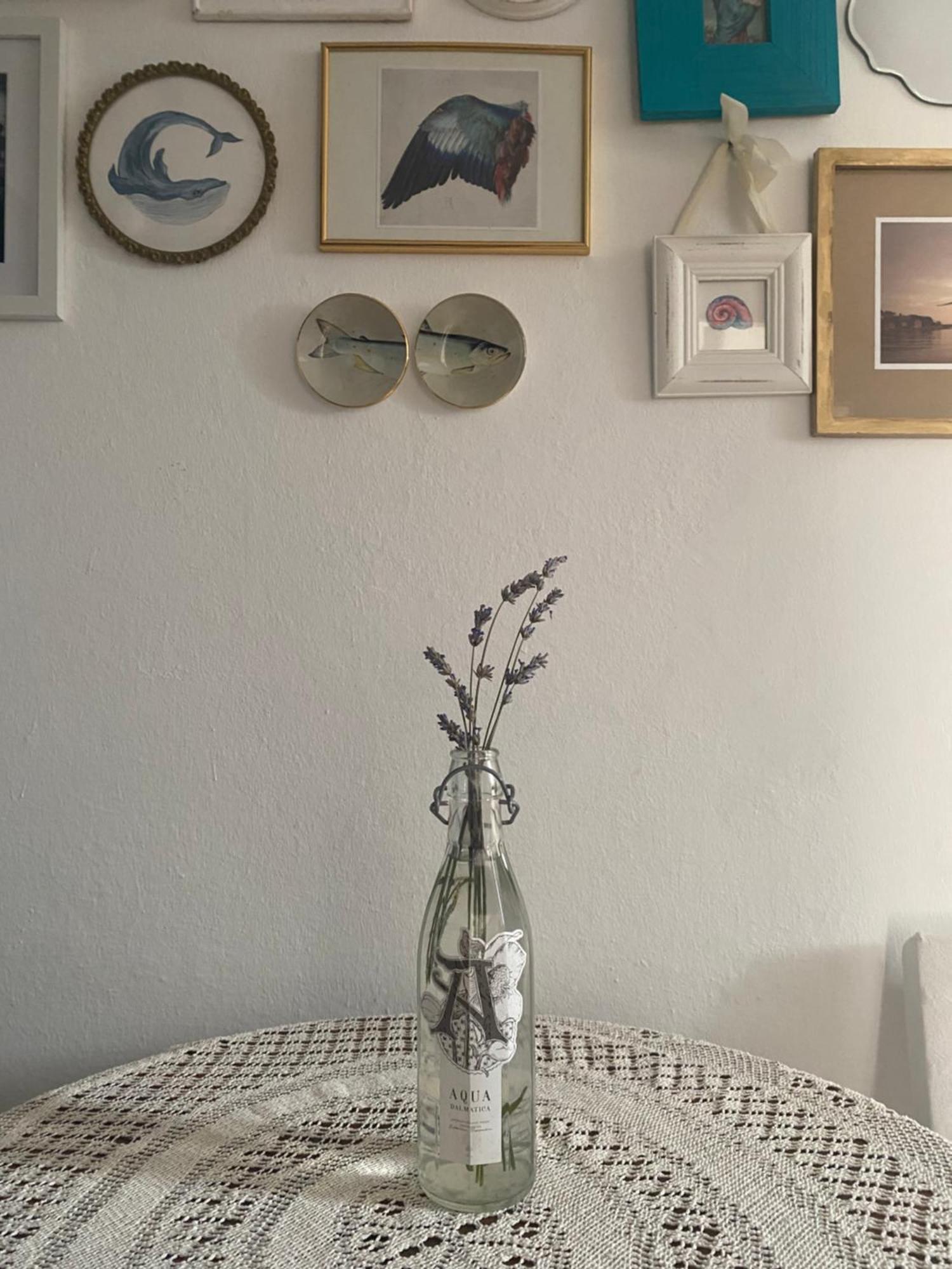La Lena Apartment Sibenik Bagian luar foto